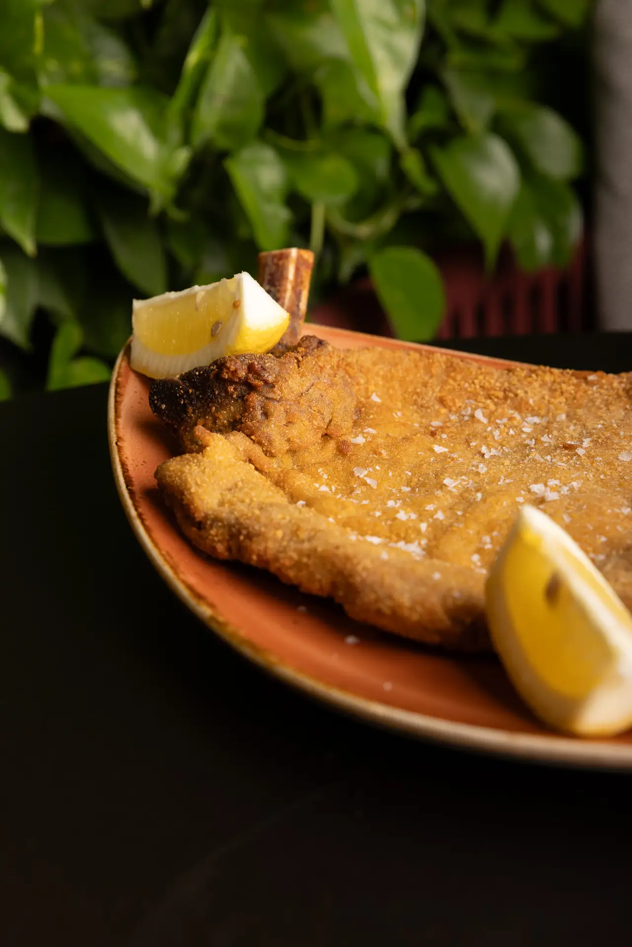 Cocktail d'autore The Dome